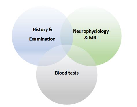 Muscle Channelopathies Diagnosis - Channelopathy Service