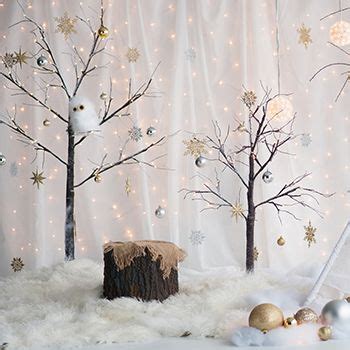 Diy Winter Wonderland Backdrop