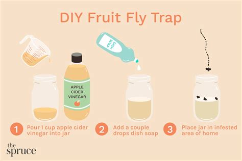 How To Get Rid Of Drain Flies: 7 Simple Solutions