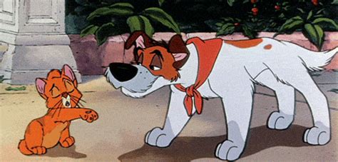 Wanting to be as cool as Dodger in Oliver & Company. | 43 Disney ...