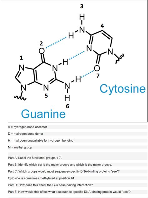 Solved A = hydrogen bond acceptor D = hydrogen bond donor | Chegg.com