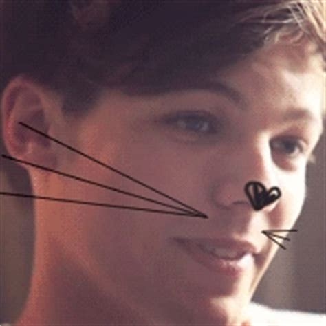 Louis Cat Icons - Louis Tomlinson Icon (31976261) - Fanpop