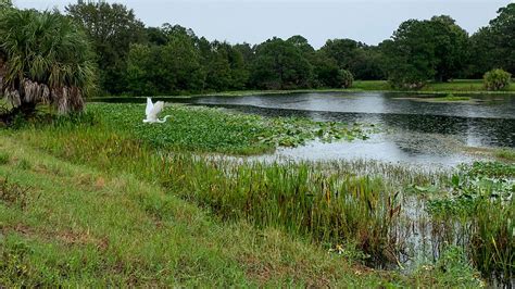 Walsingham Park – Florida Hikes