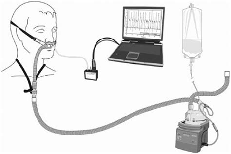 Pressures Delivered By Nasal High Flow Oxygen During All Phases of the Respiratory Cycle ...