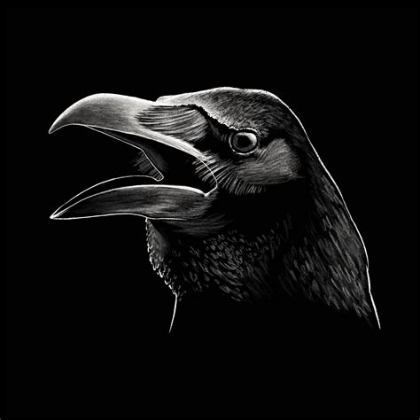 Raven Head on Behance