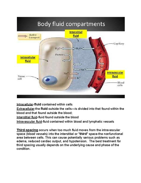 A little about Third Spacing - Intracellular- fluid contained within ...