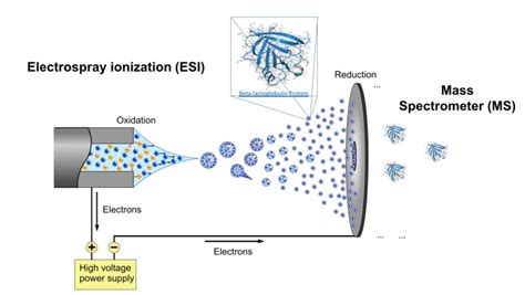 Electronic Interaction Phenomena: Proton Dynamics and Fluorescent Proteins – BioExcel – Centre ...