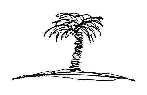 Palm Tree Sketch Vector Clipart image - Free stock photo - Public Domain photo - CC0 Images