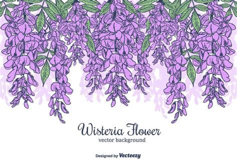 Hand Drawn Wisteria Flower Vector Background | Stock Images Page ...