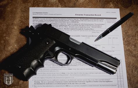 Gun Background Checks: How the State Came To Decide Who Can and Cannot Buy a Firearm