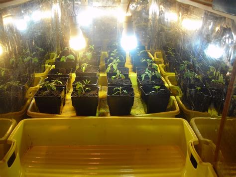 DIY LED Grow Light | Tech Support Forum