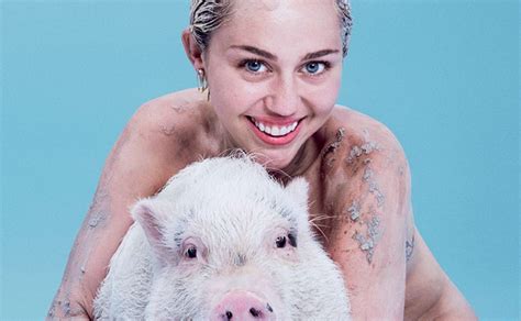 'Vegan Queen' Miley Cyrus Chooses Staying at Home With Pet Pigs Over Touring | News | LIVEKINDLY