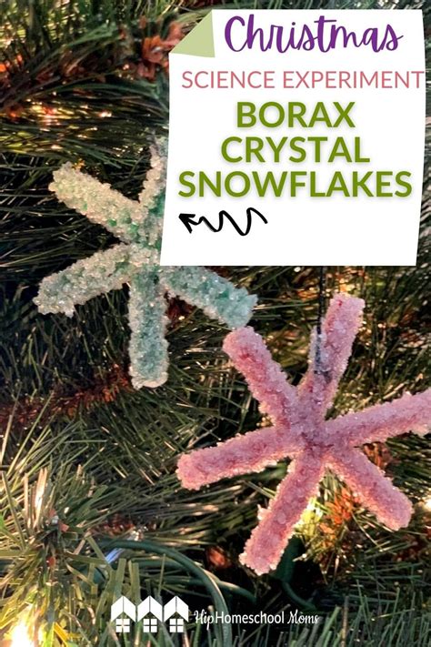 Christmas Science Experiment: Borax Crystal Snowflakes