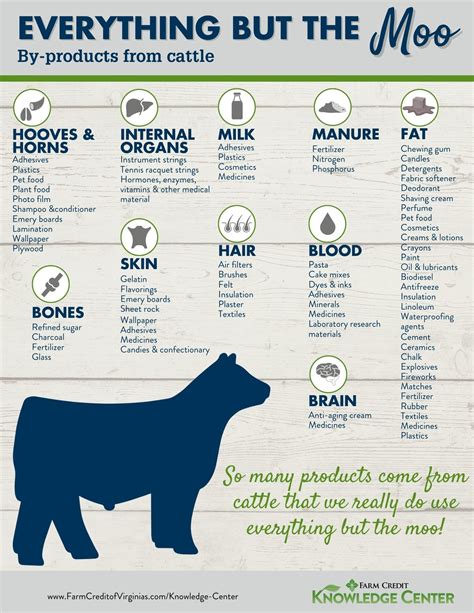 Everything But the Moo By-Products From Cattle | Farm Credit of the Virginias