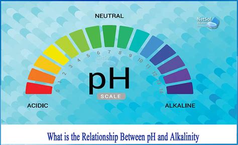 Total Alkalinity PH, And Their Roles In Water Chemistry, 41% OFF