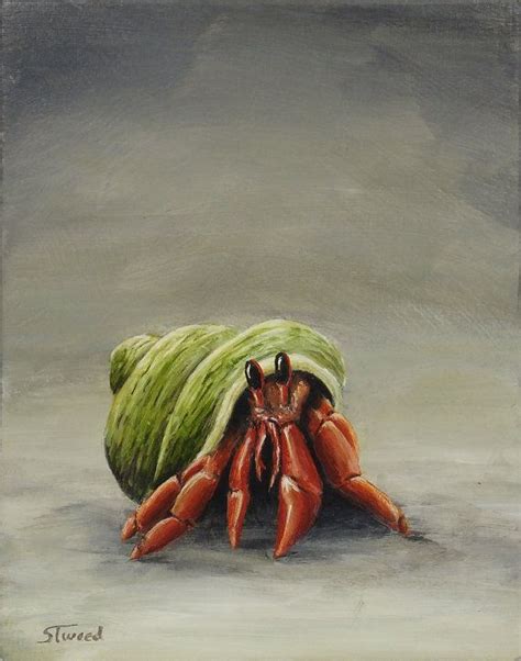 Daily Painting Red Hermit Crab in Green Shell by SandyTweed, $75.00 | Hermit crab, Crab art ...