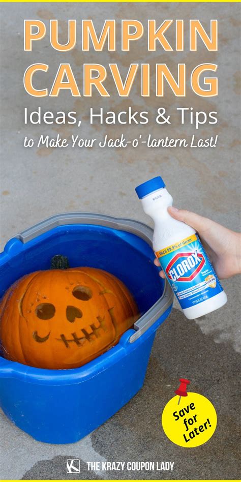 How to Make Pumpkins Last Longer | Diy pumpkin carving, Pumpkin carving, Pumpkin carving tips