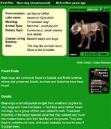 Cynodictis | Paleo Media Wiki | Fandom