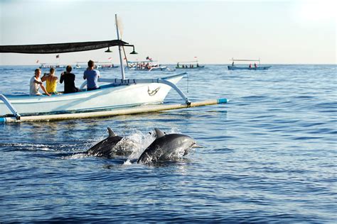 Dolphin Watching at Lovina Beach - Boat Rides to Watch Dolphins in ...