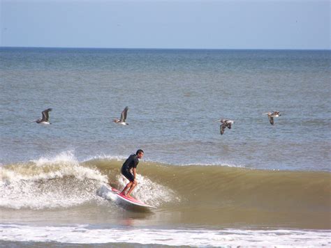 What You Should Know About Surfing Florida