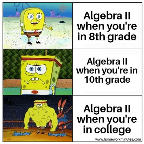 Algebra is fun | Funny spongebob memes, Math memes, Spongebob memes