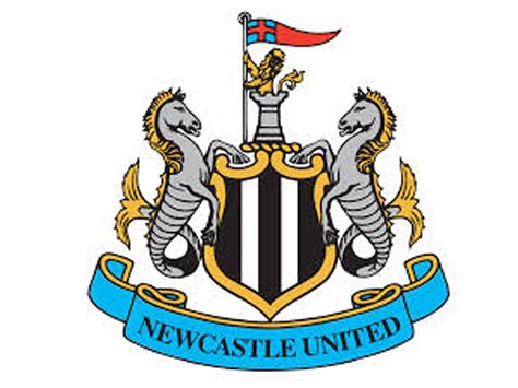 Newcastle United: 2014/15 Premier League fixtures and results | The ...