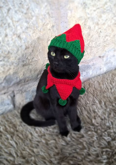 Elf Pet Costume Christmas Costume for Cat Elf Hat for Cats | Etsy