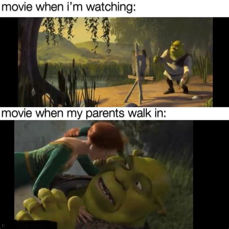 ready for shrek 5 : r/memes