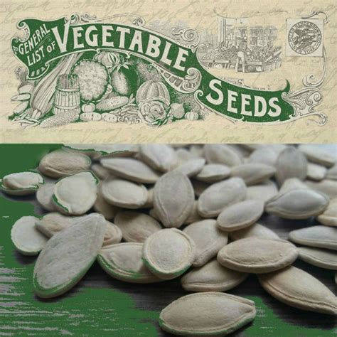 Why Heirloom Vegetables? 6 Advantages for Growing Heirloom Seeds