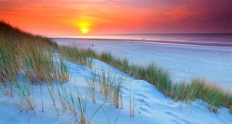 nature, Landscape, Sunset, Netherlands, Beach, Sand, Dune, Sea, Purple, Grass, Yellow Wallpapers ...