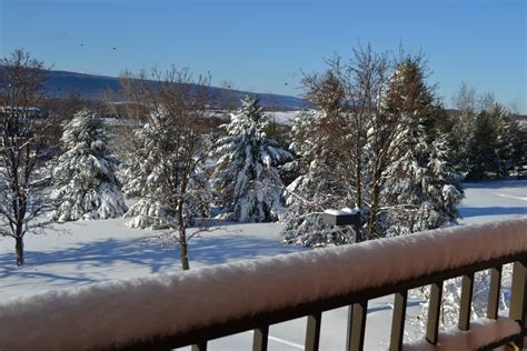 The Vantage Point: March Snow in the Allegheny Mountains of Pennsylvania