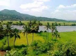 Kokan Darshan Package Tour at best price in Jalgaon | ID: 8798567497