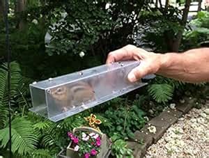 Amazon.com : Easy Chipmunk Trap (2 Pack) : Patio, Lawn & Garden