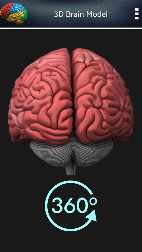 Cerebro humano 3D for Android - APK Download