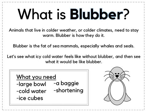 What is Blubber? Arctic Animal Science - Forgetful Momma Shop