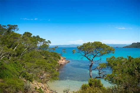 Hyères islands - Site Officiel de l'Office de Tourisme de Sainte Maxime