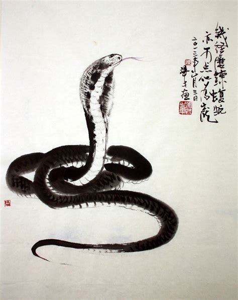 Chinese Snake Illustration