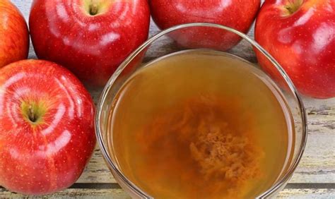 Apple Cider Vinegar Mother - Etsy