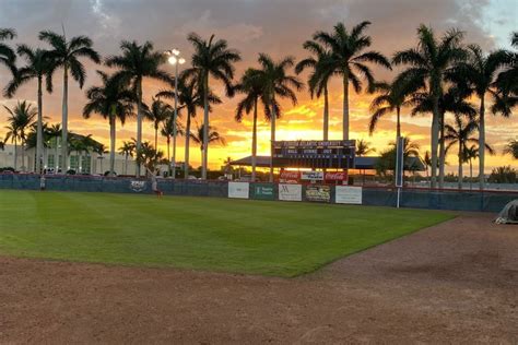 FAU | FAU to Host ‘Owls in the Outfield’ Event for Community