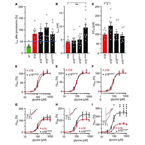 | Glycine receptor β subunit mutants alter functional properties of the... | Download Scientific ...