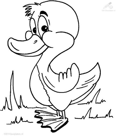 Duck Coloring Pages