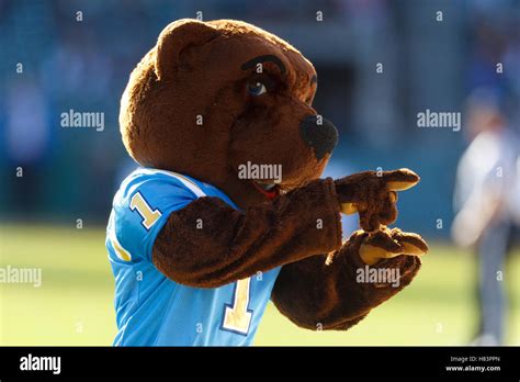 Ucla mascot hi-res stock photography and images - Alamy