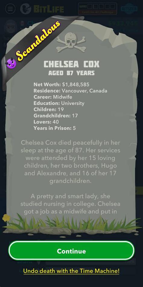 Bitlife by TheZenithBlack on DeviantArt