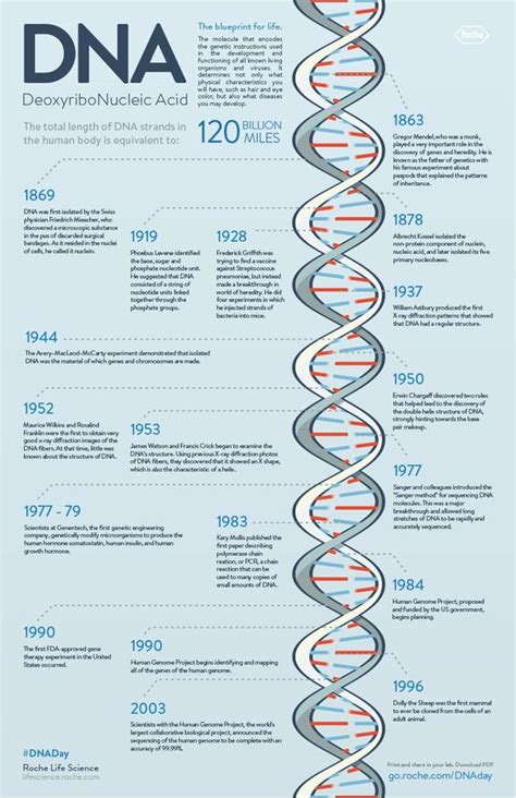 DNA Timeline | History of Science - Genes | Pinterest | Dna, Timeline ...