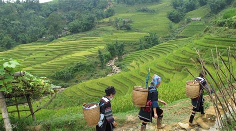 2 Day Sapa Trekking Tour from Hanoi - Klook