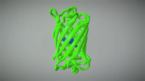 GFP - Green Fluorescent Protein - Download Free 3D model by Holoxica ...