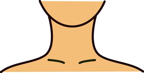 Neck Clipart