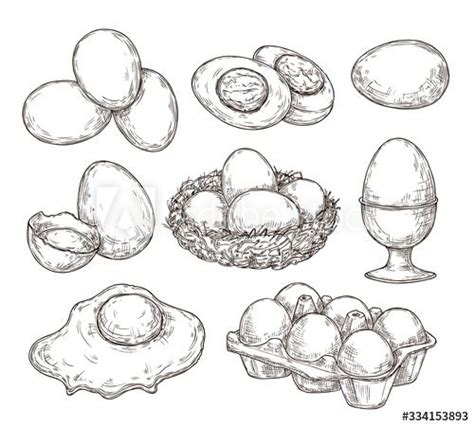 Eggs sketch. Vintage natural egg, broken shell. Hand drawn farming food ...