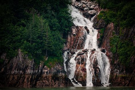 Falls in the Fjord | A waterfall cascades down the tree-covered rocky ...