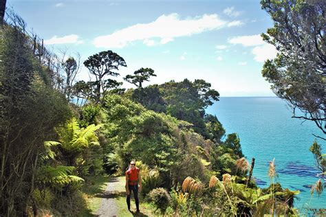 Hiking the Rakiura Track on Stewart Island — Travels Of A Bookpacker